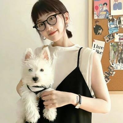 美容针 海报